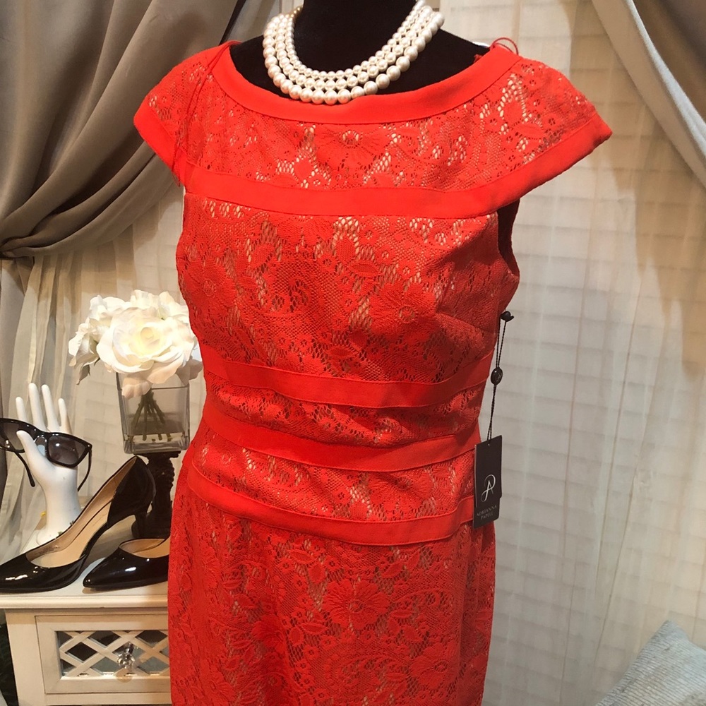 Elegant Burnt Orange Dress